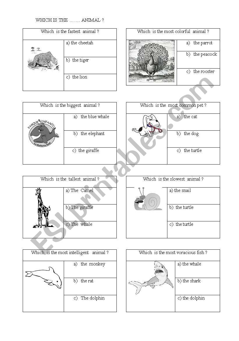 Superlatives worksheet