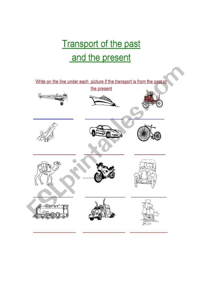 Transport worksheet