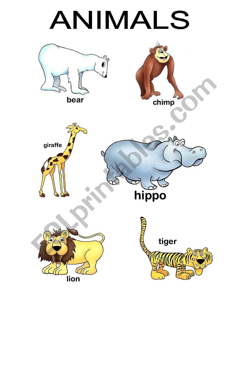 Animals worksheet