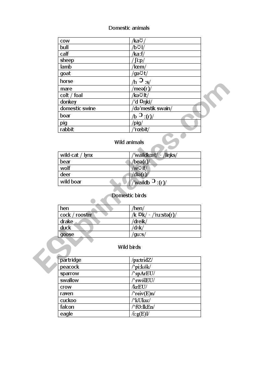 Domestic Animals & Birds worksheet