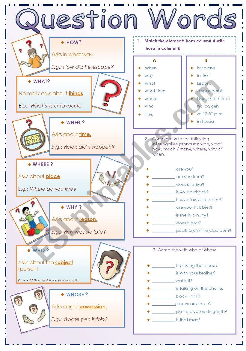 Question Words worksheet