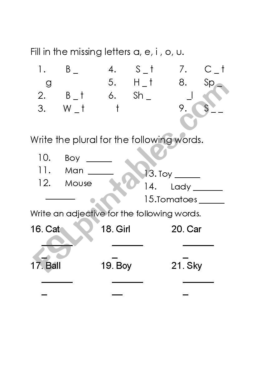 Vowels, Plurals and Adjectives