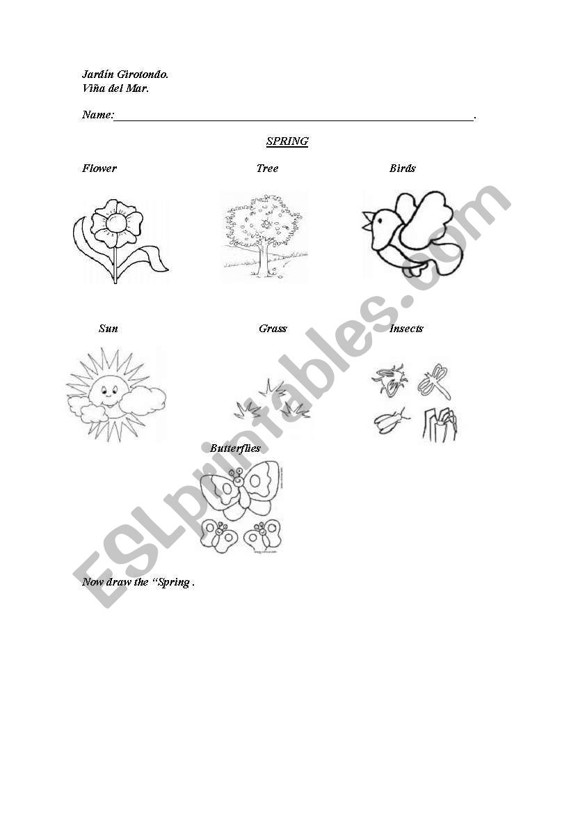 spring worksheet