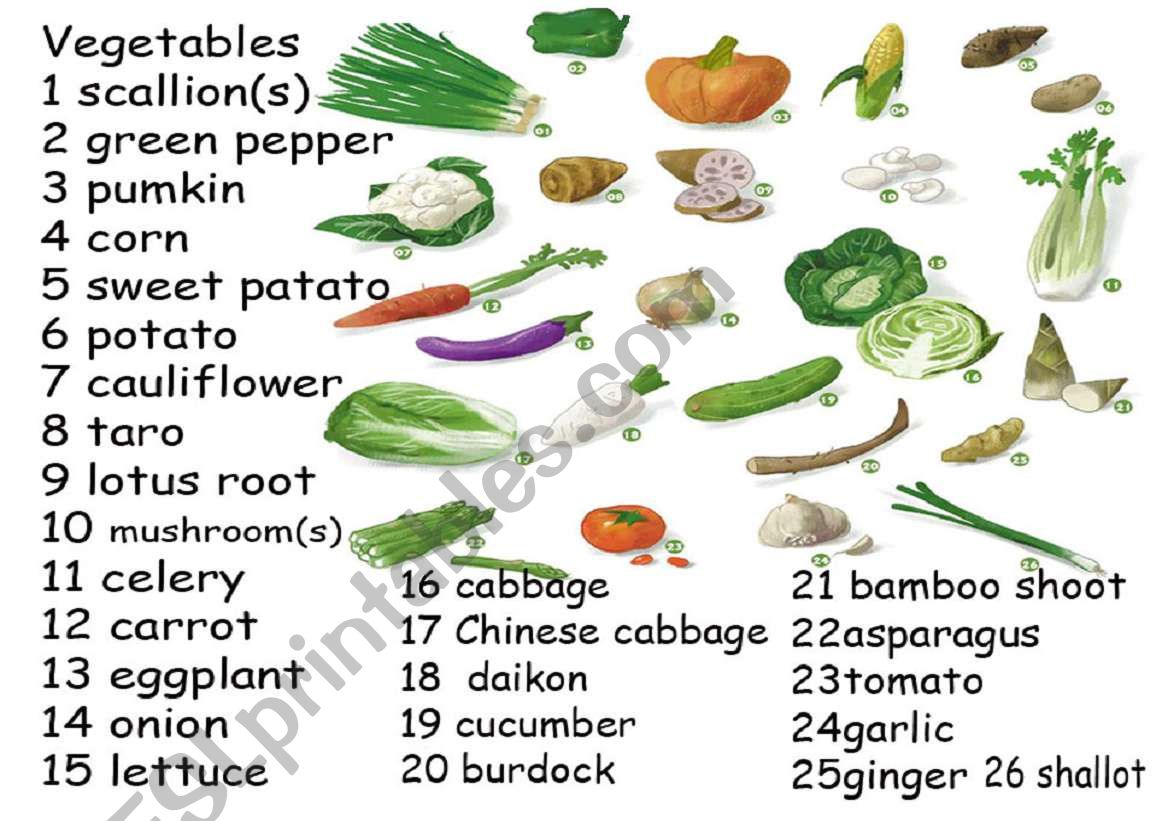 widespread vegetables in Asia worksheet