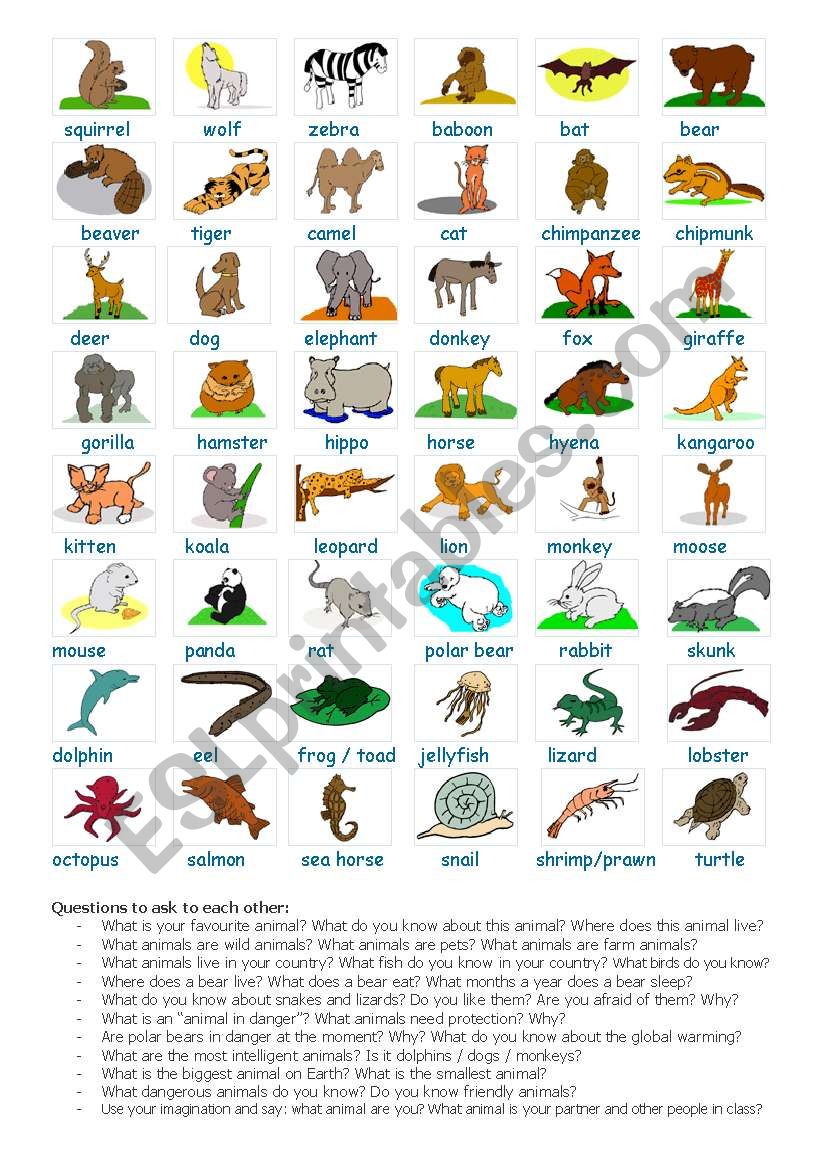 Animals and Nature worksheet
