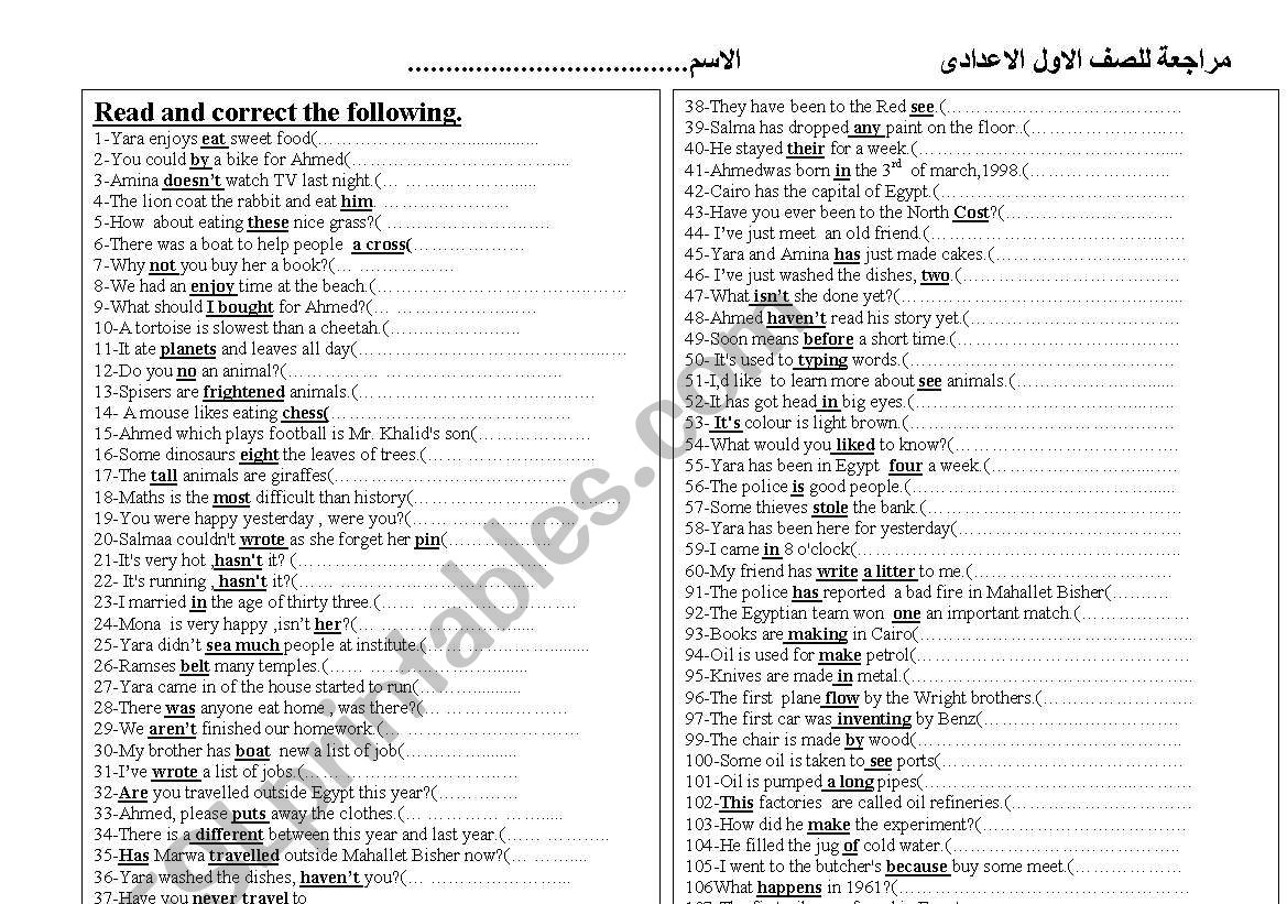 grammar revision  worksheet