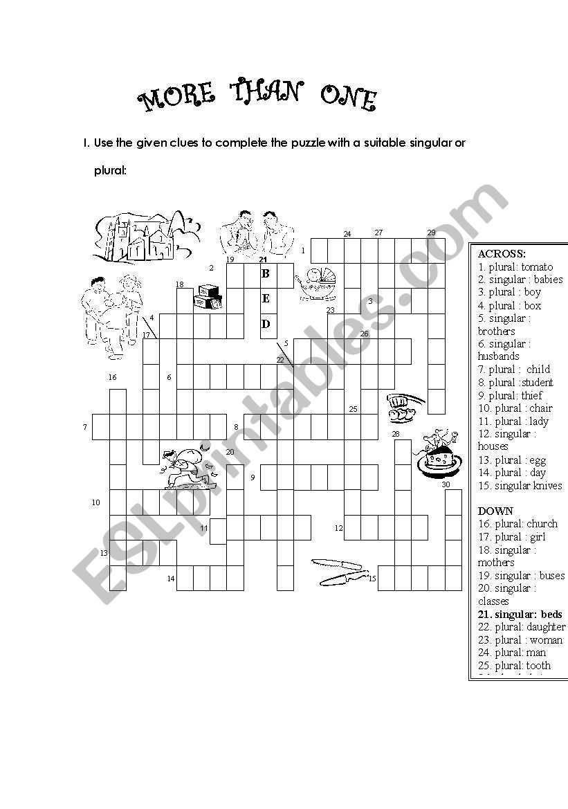 Singular And Plural worksheet