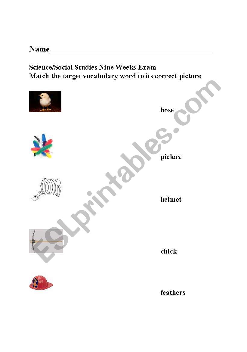 Matching Words worksheet