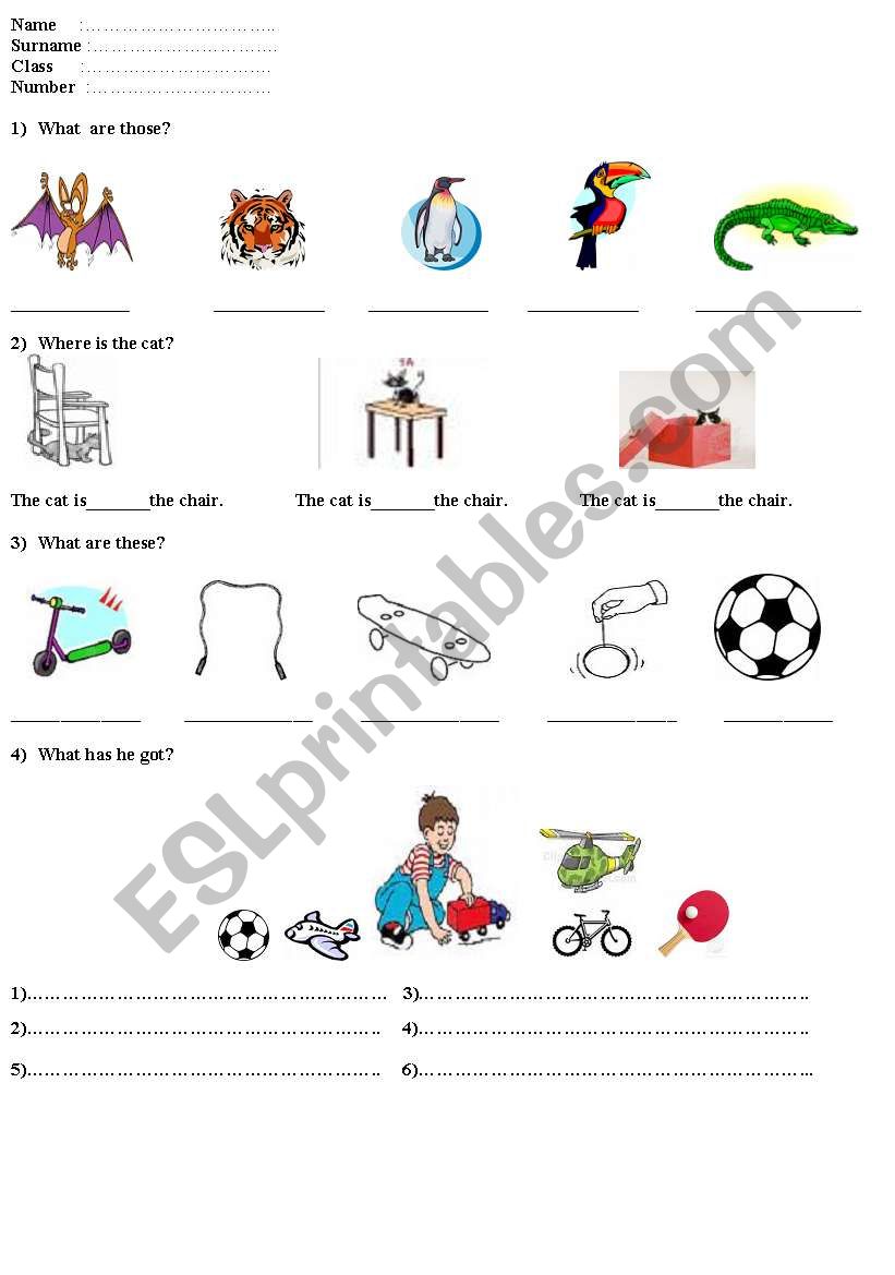 toys worksheet