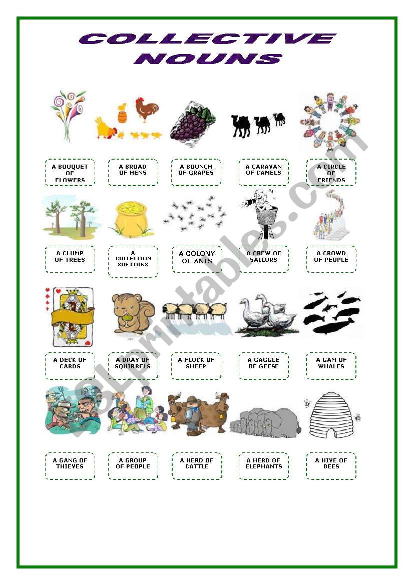 Collective Nouns Pictionary worksheet