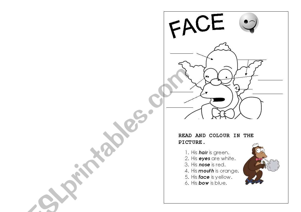 Parts of the face worksheet