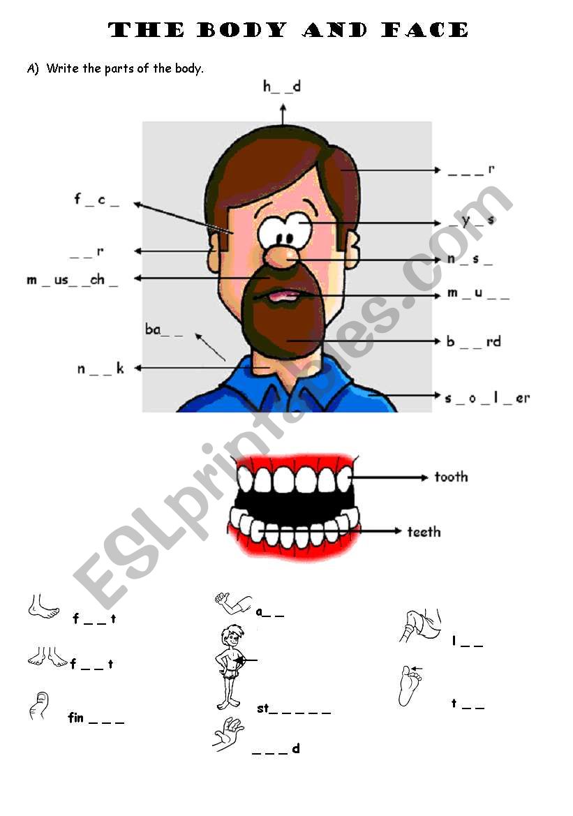 Parts of the body worksheet