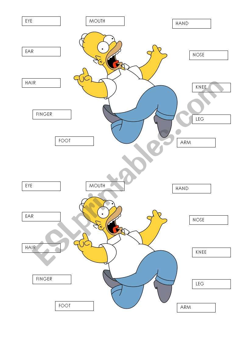 HOMERO worksheet