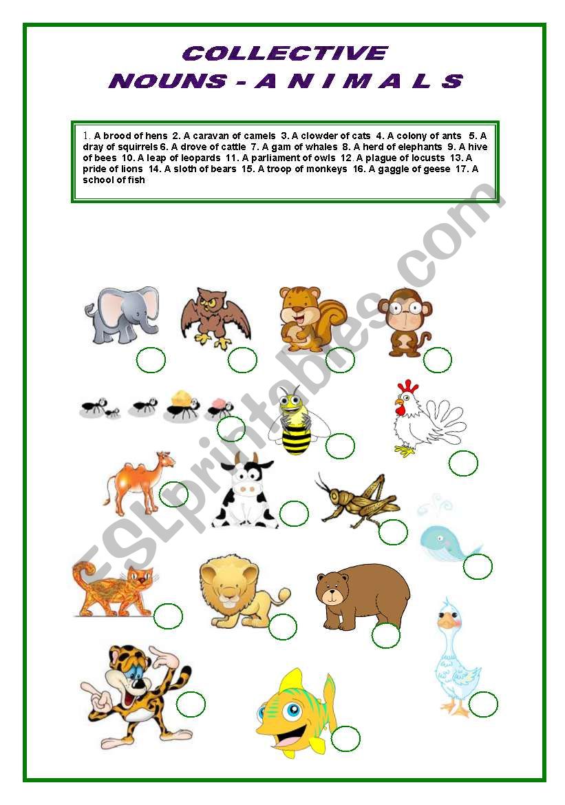 Collective Nouns - ANIMALS  - Matching Worksheet