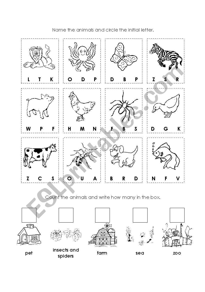 ANIMAL worksheet worksheet