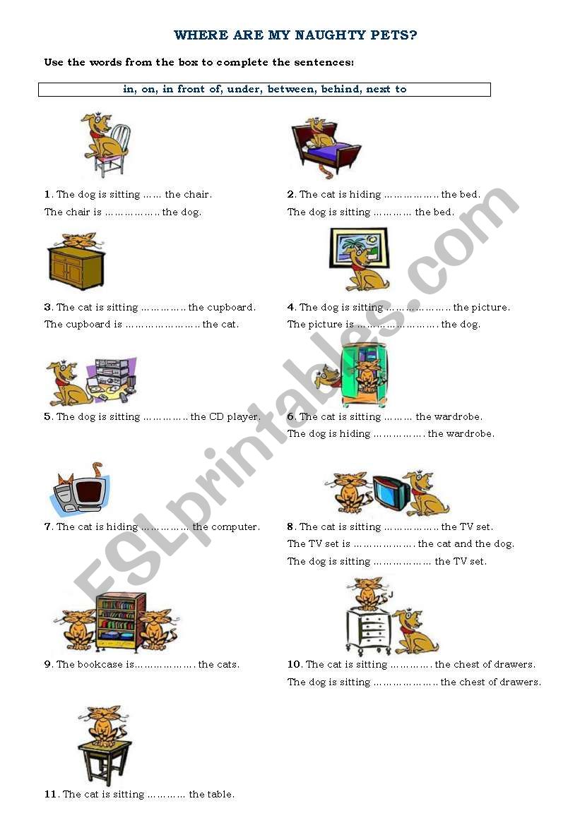 WHERE ARE MY NAUGHTY PETS? worksheet