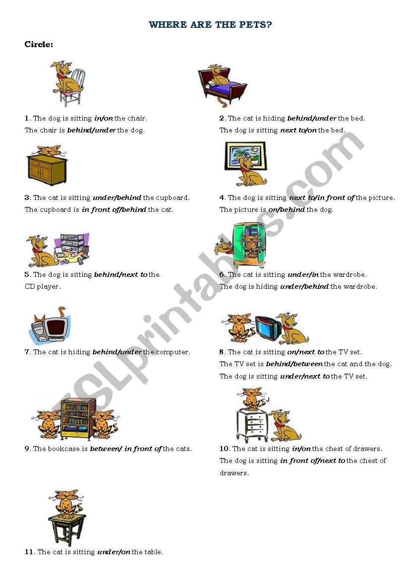WHERE ARE THE PETS? worksheet