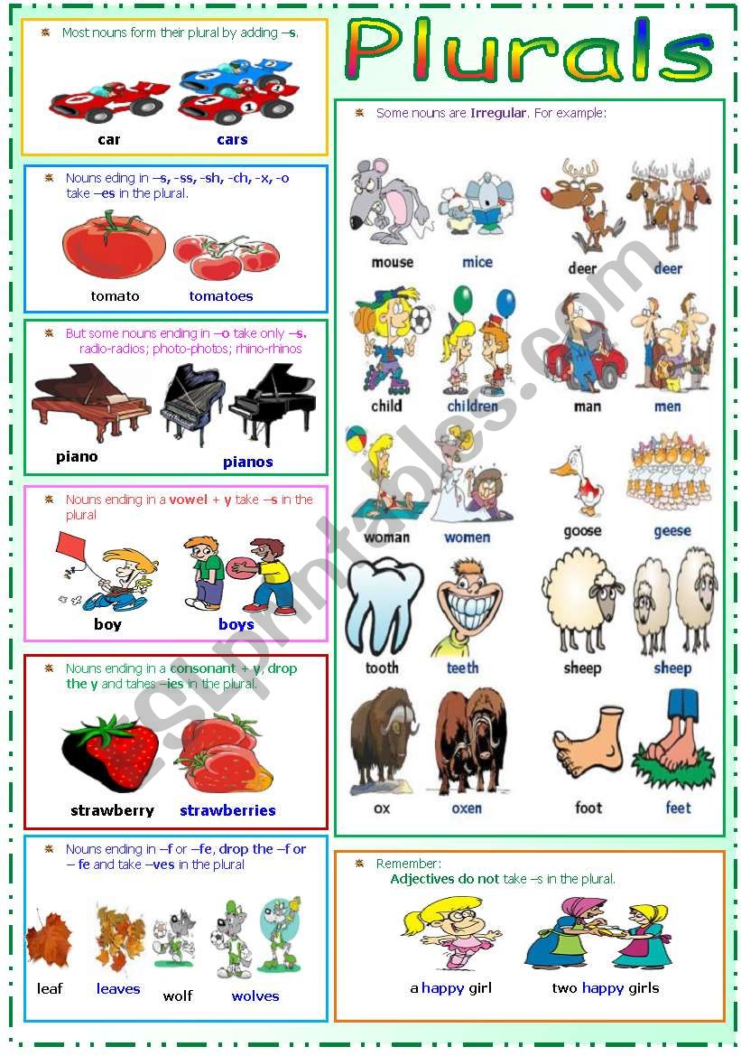 Plurals worksheet