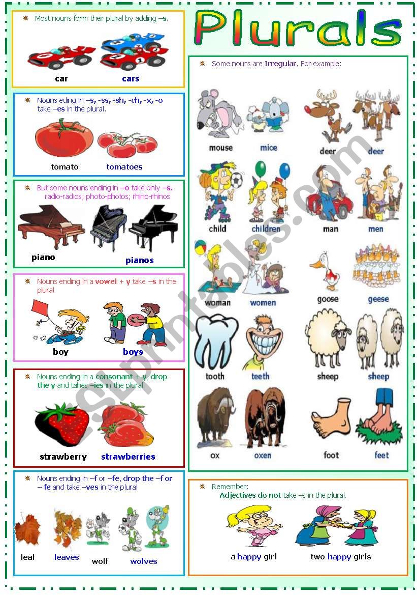 Plurals worksheet