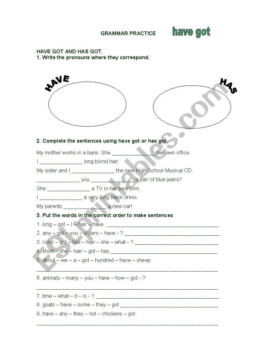 Have got - Has got worksheet