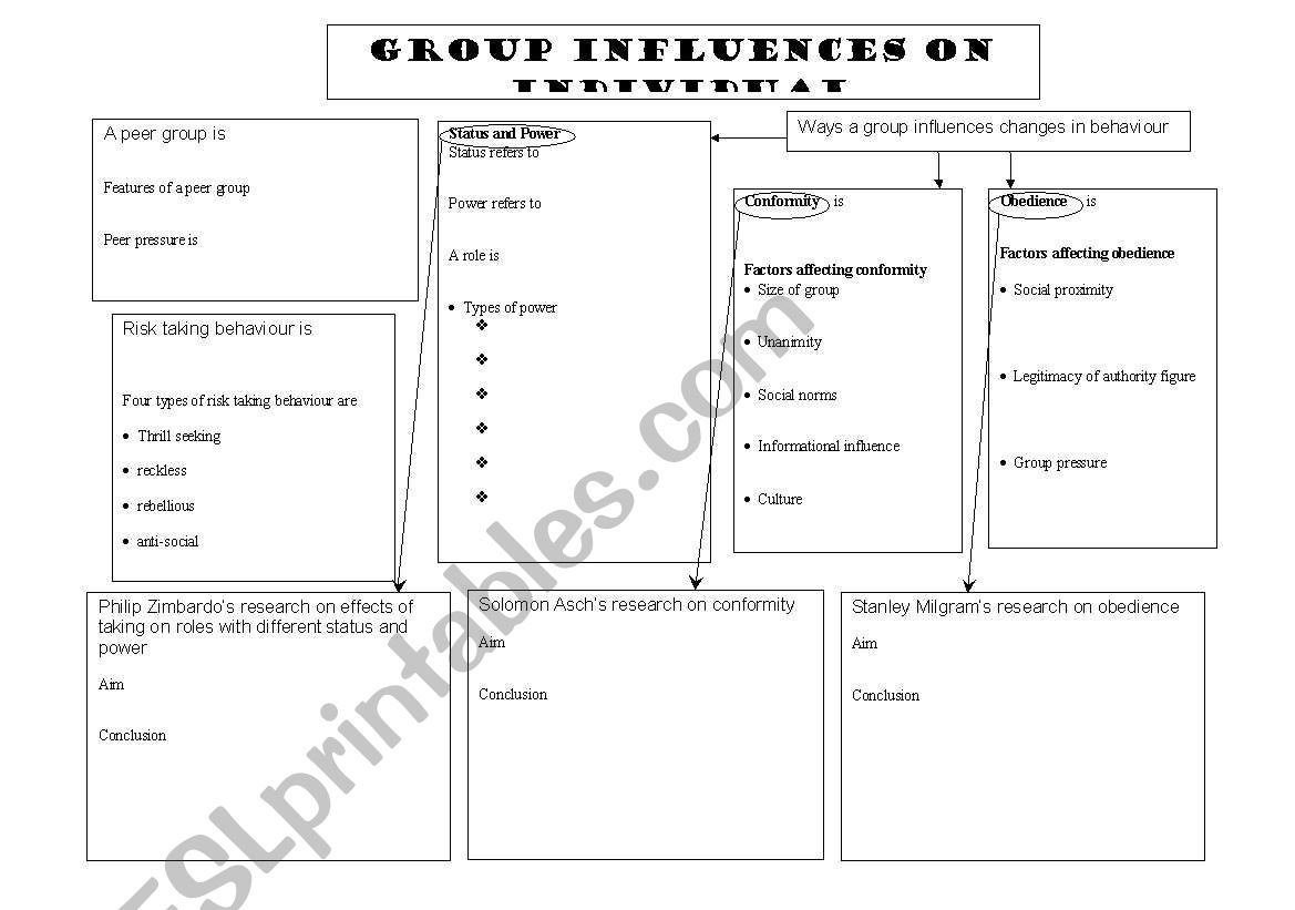 Group influences on individual behaviour