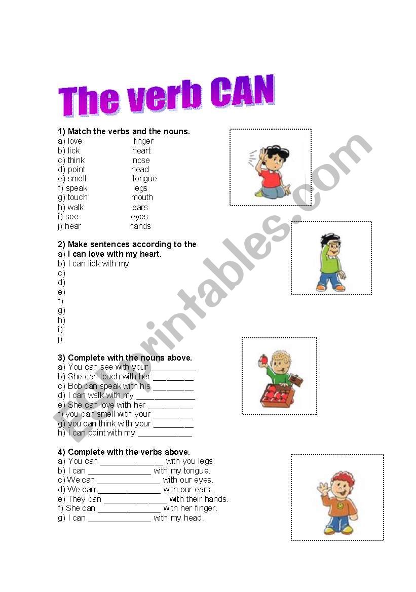 The verb can exercises worksheet