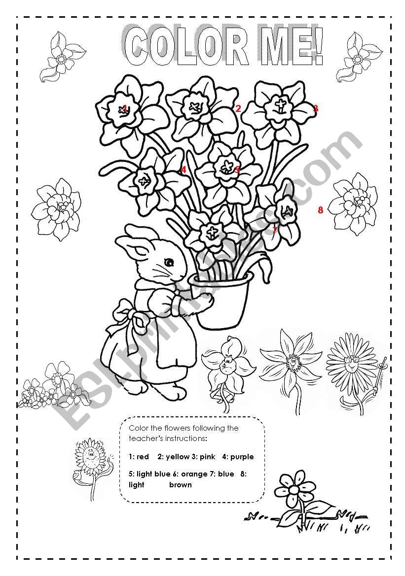 Color the bunny worksheet
