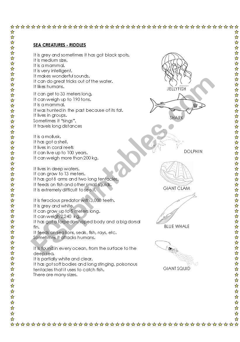 sea creatures worksheet