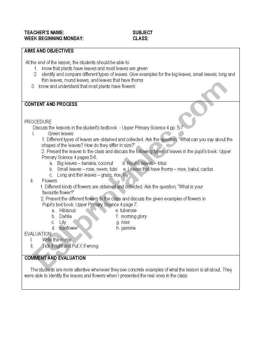 Science Lesson Plan worksheet