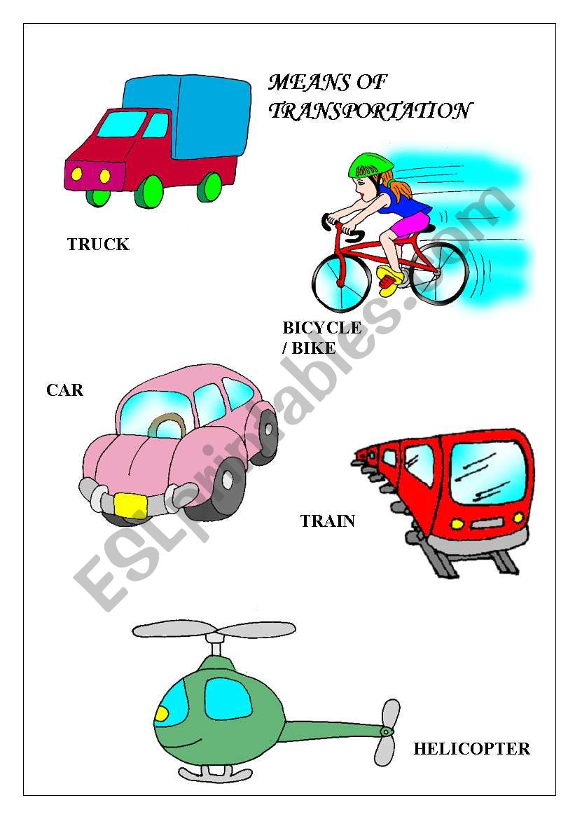 MEANS OF TRANSPORTATION worksheet