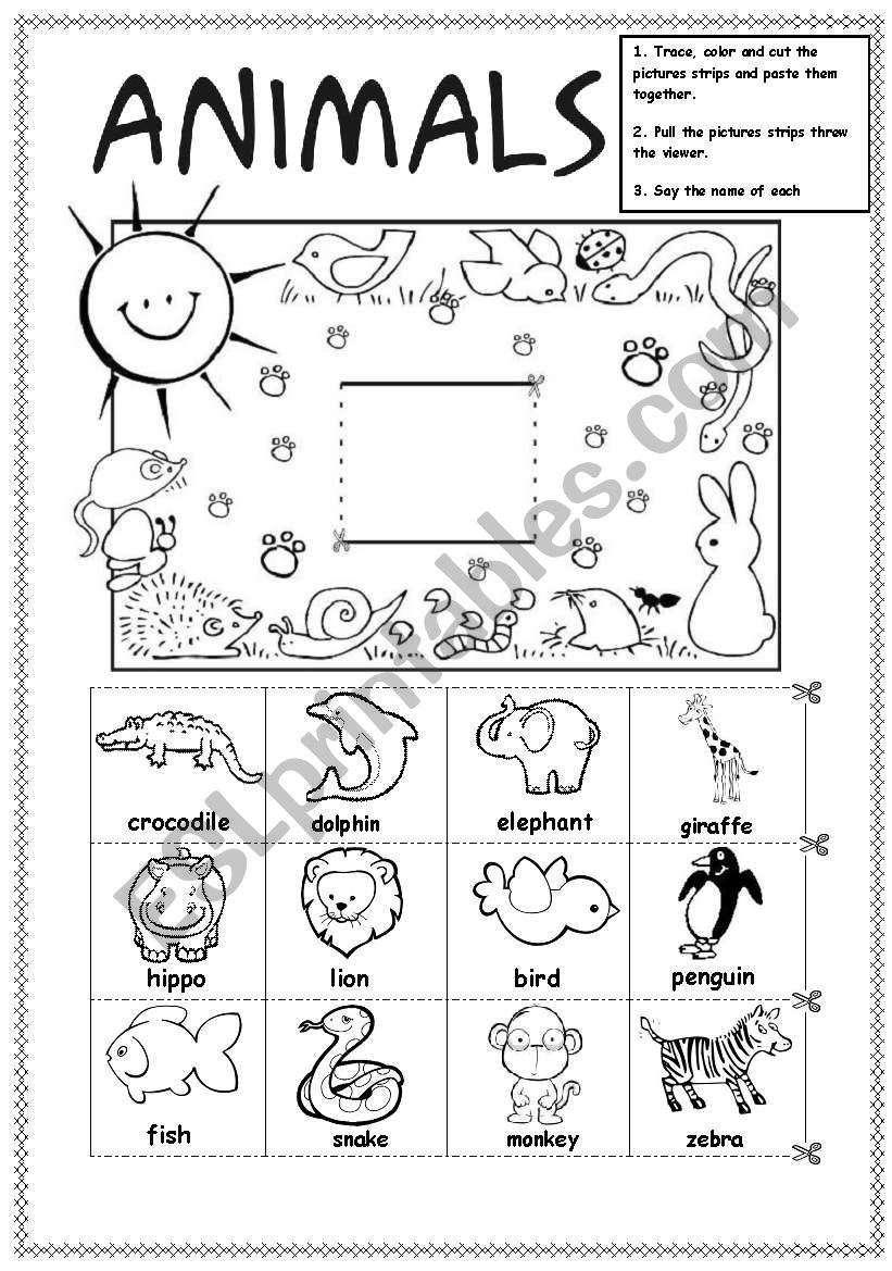 Animals worksheet