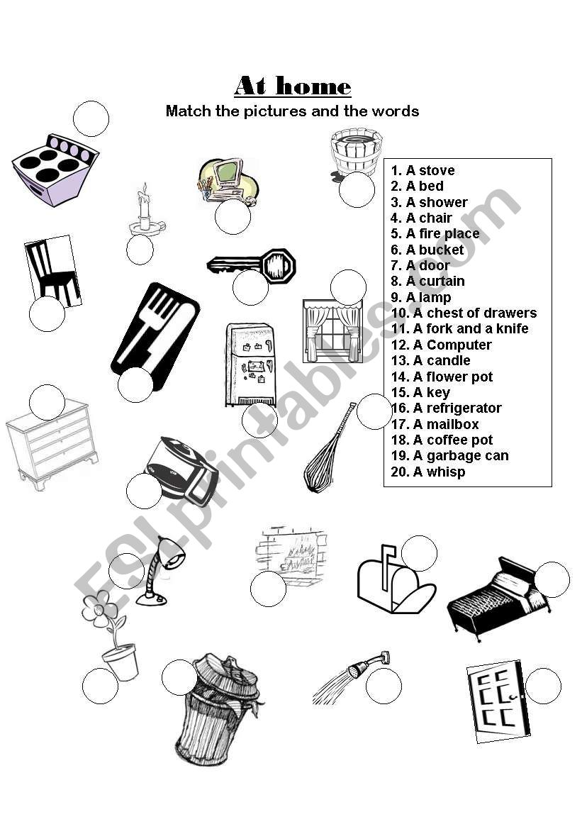 Match the words and the pictures