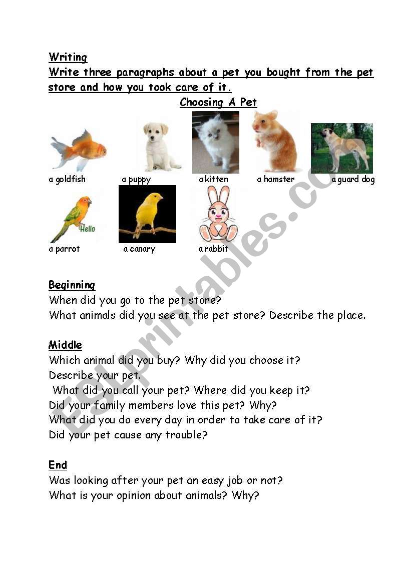 The Pet Store worksheet