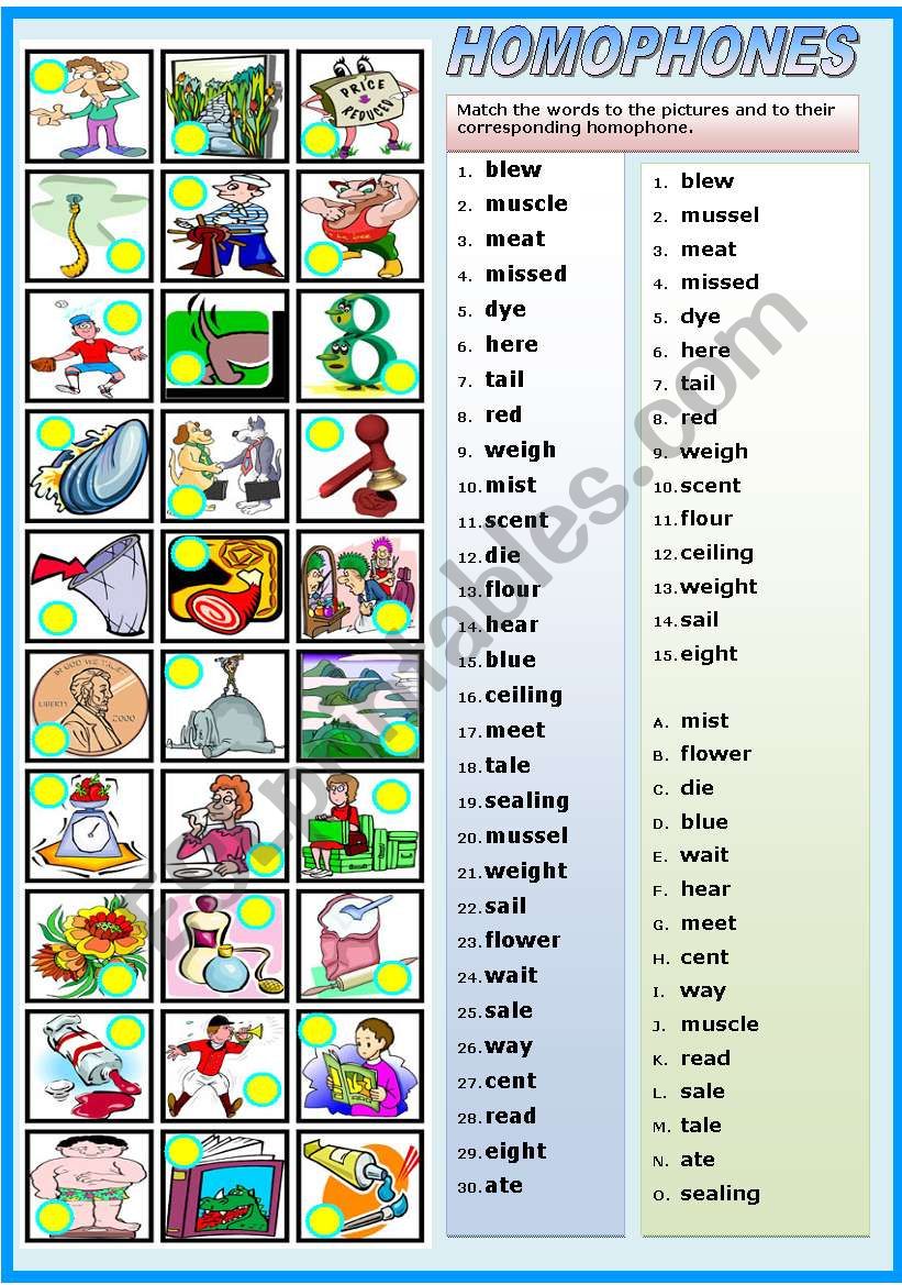 HOMOPHONES-MATCHING EXERCISE (B&W VERSION INCLUDED)