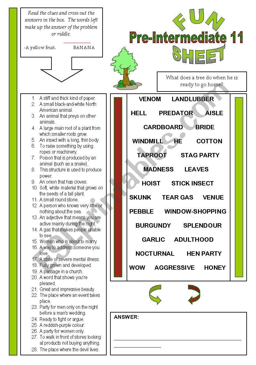 Fun Sheet Pre-Intermediate 11 worksheet