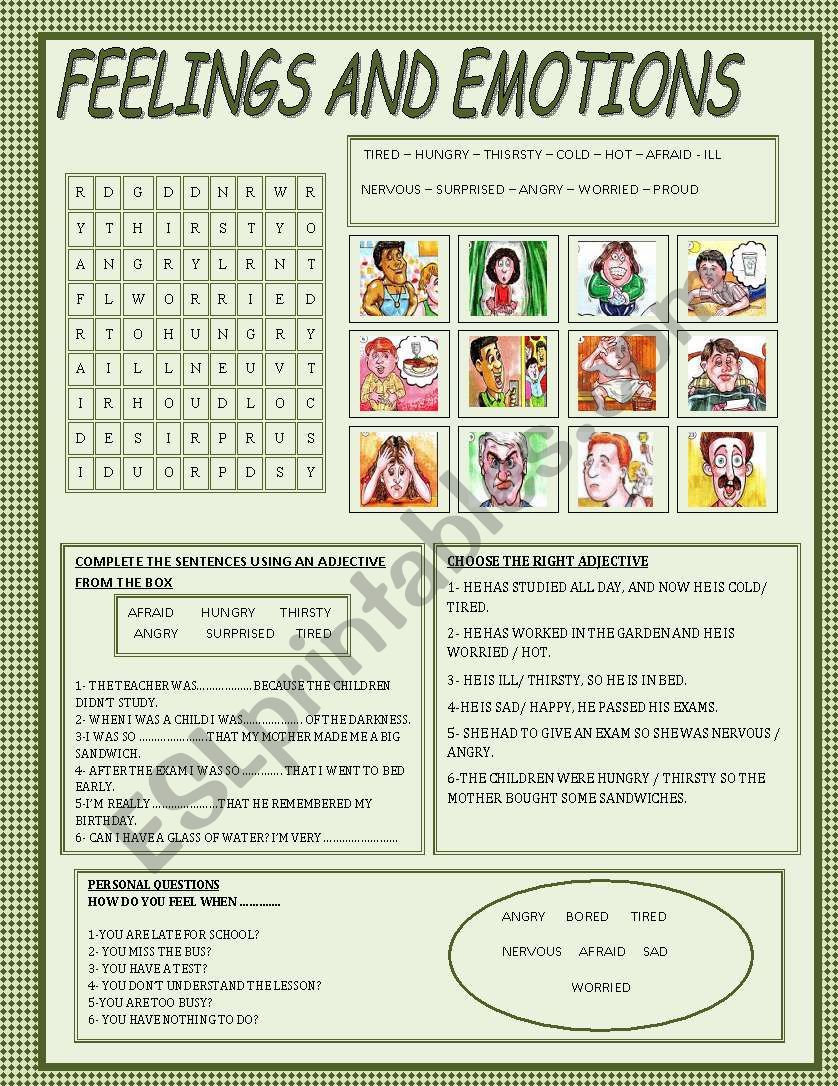 FEELINGS AND EMOTIONS worksheet