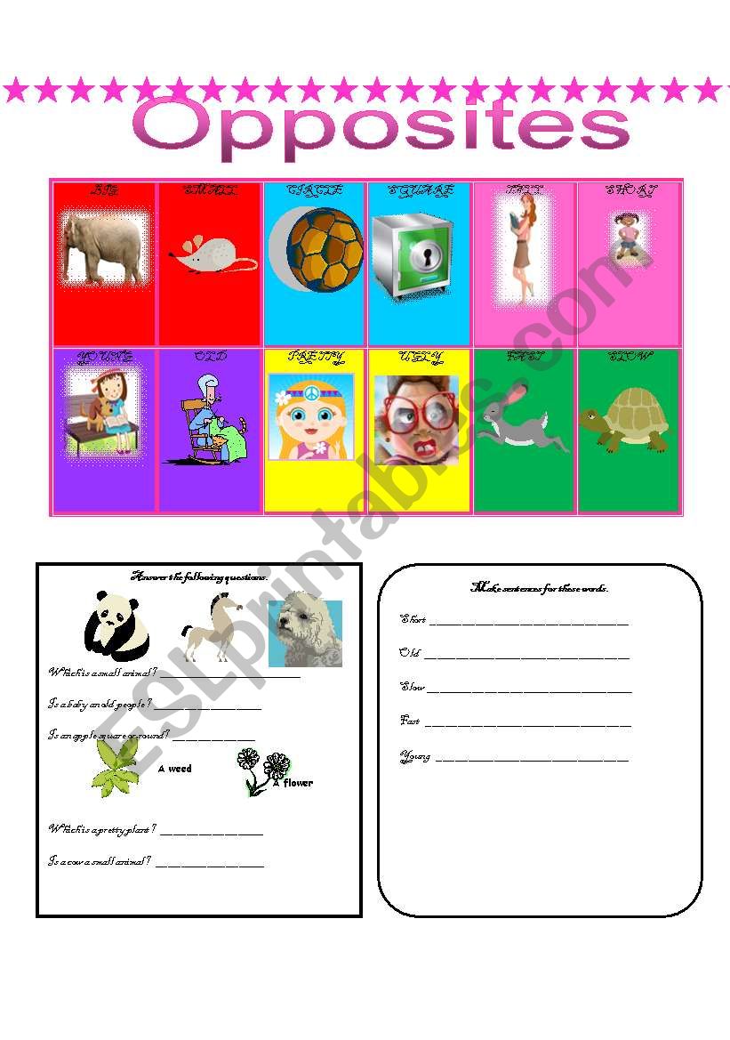 opposites worksheet