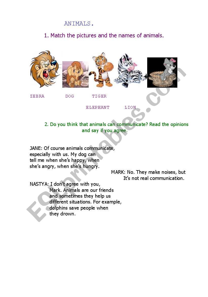 Animals worksheet