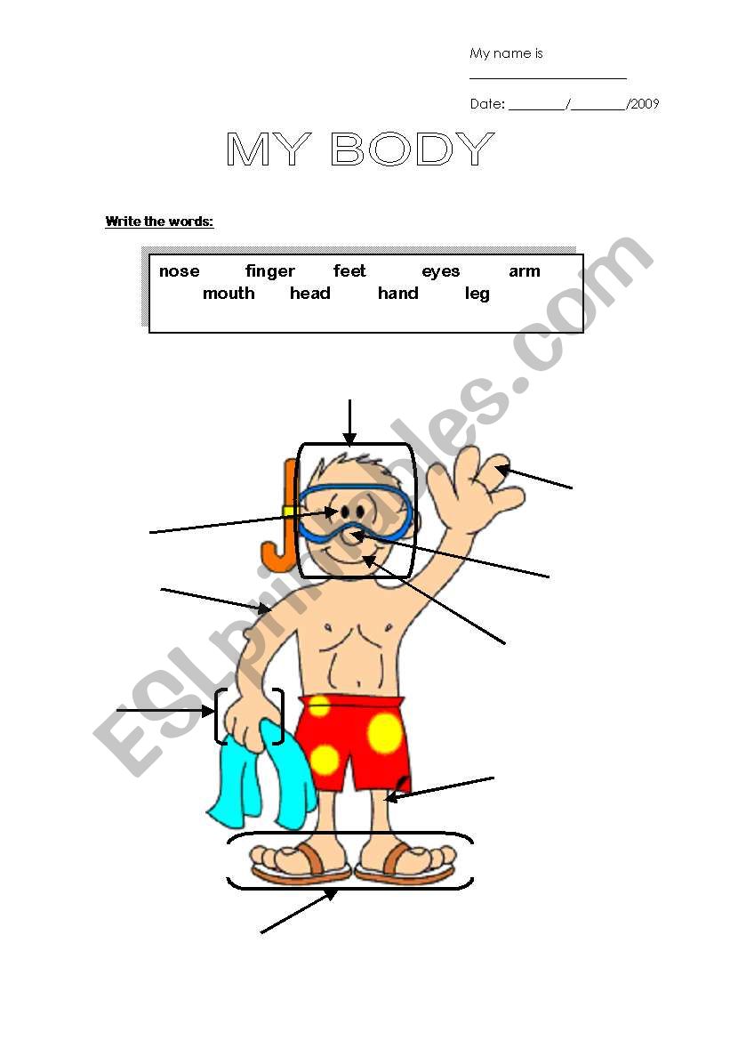 body worksheet