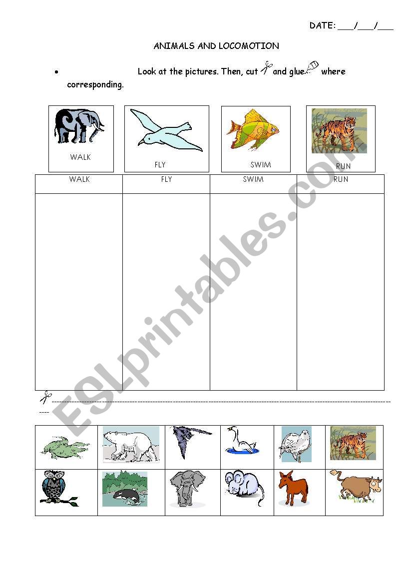 animals and locomotion worksheet