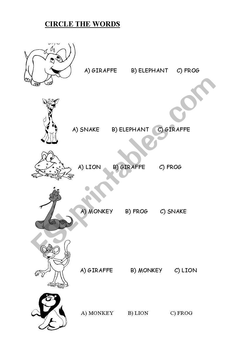 Animals worksheet