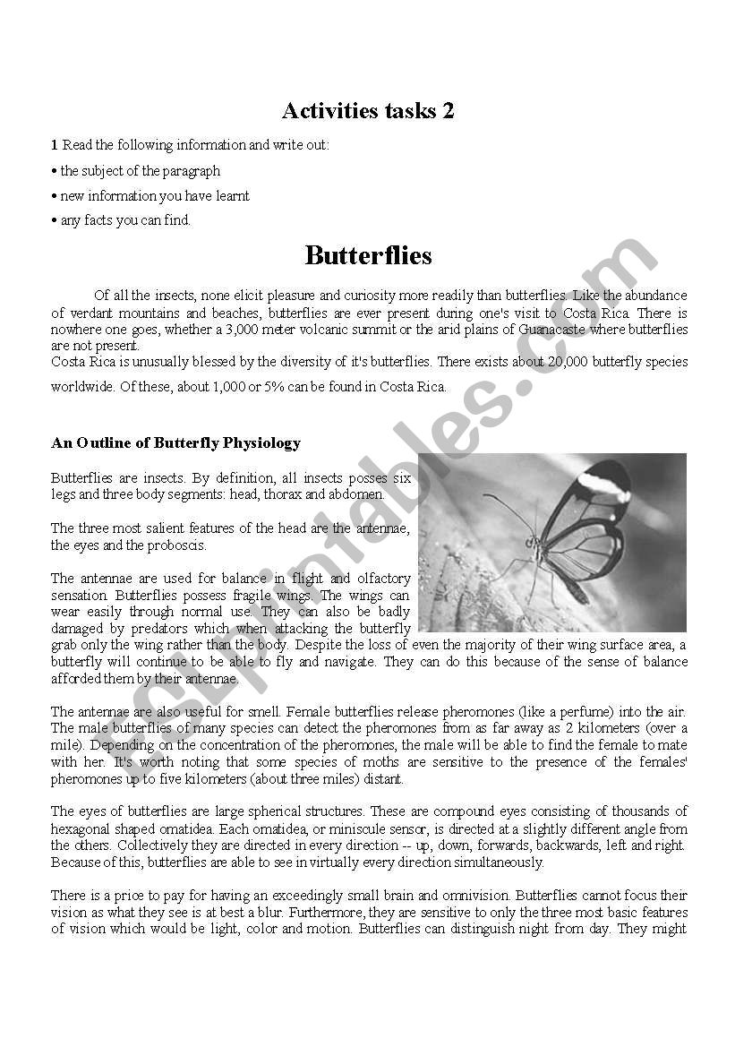 Butterflies worksheet