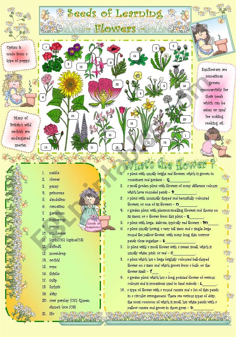 Seeds of Learning - Flowers - worksheet