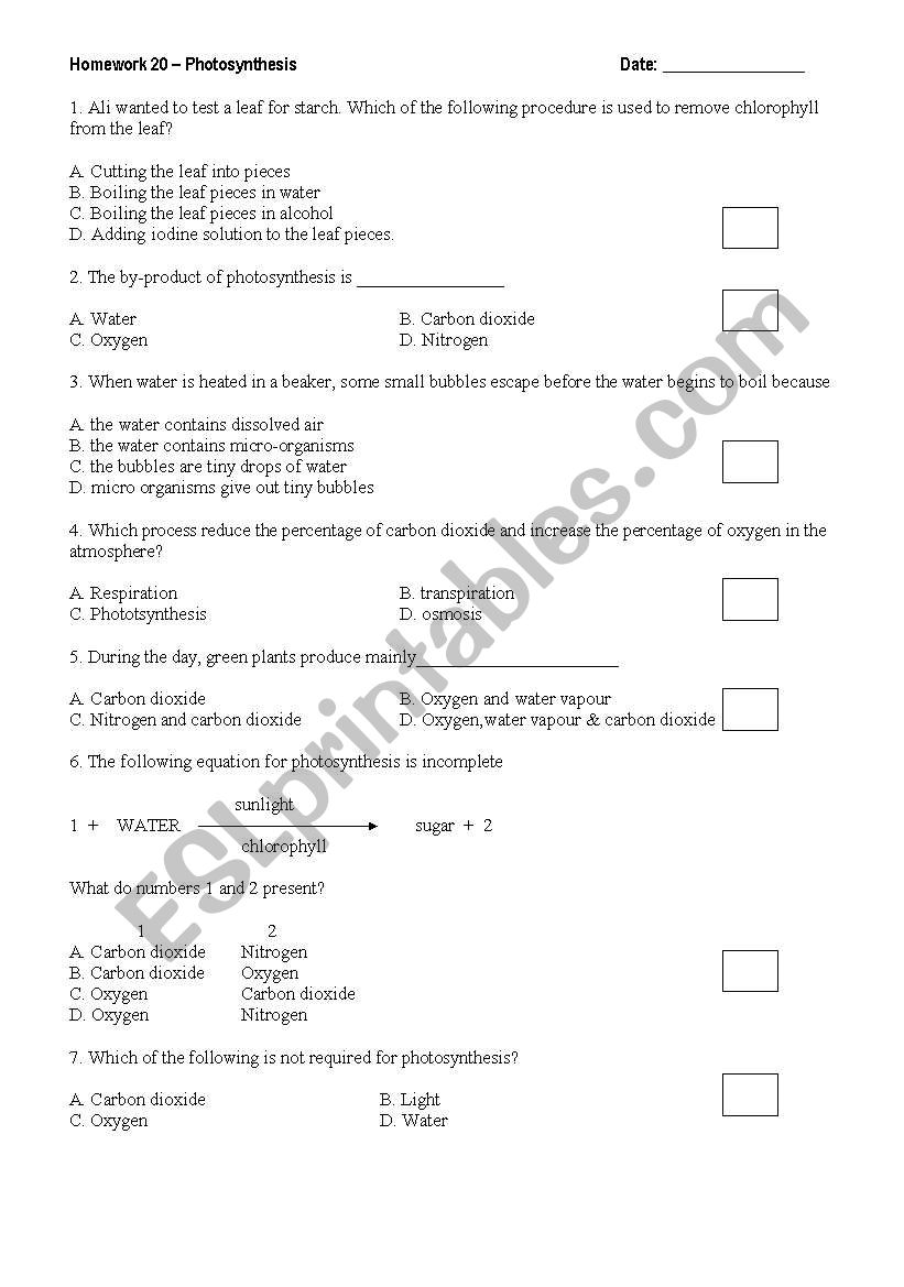 Photosynthesis worksheet