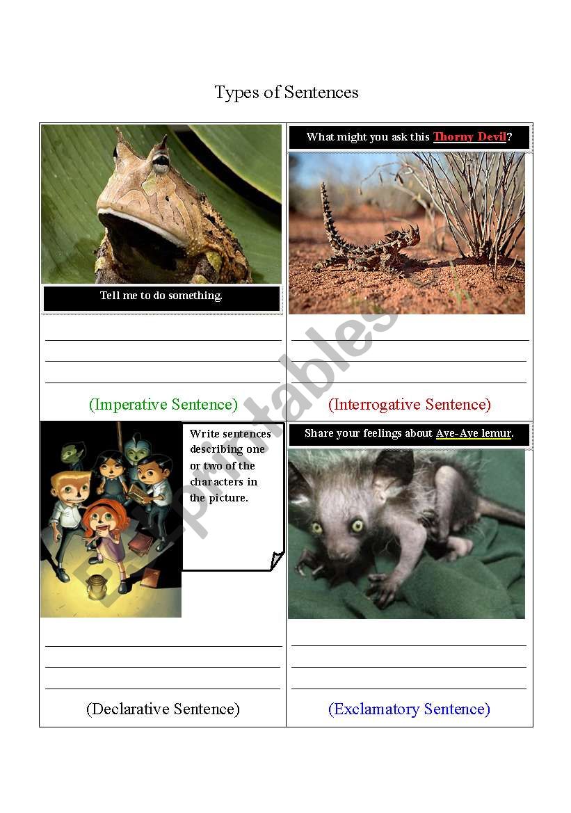 Types of Sentences (Response Card 1) 