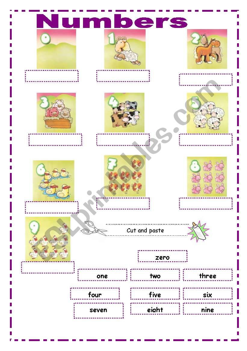 Numbers worksheet