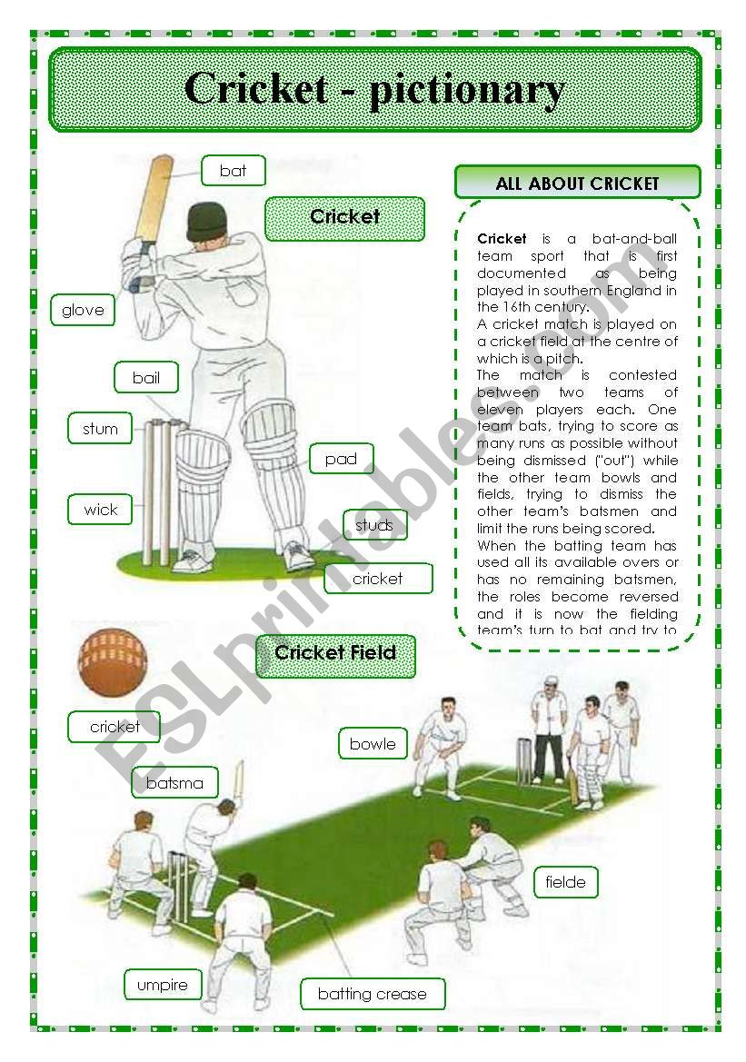 Cricket - pictionary worksheet
