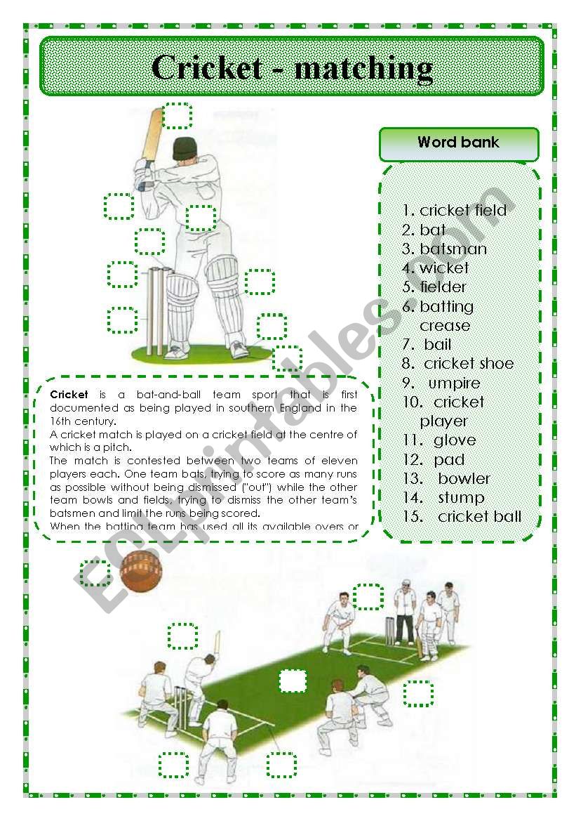 Cricket -matching worksheet
