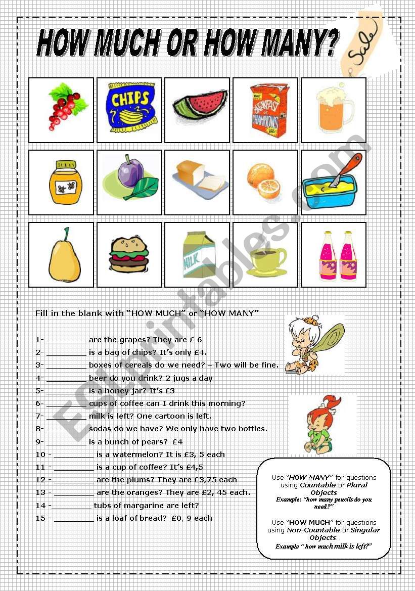 How Much or How Many ? worksheet