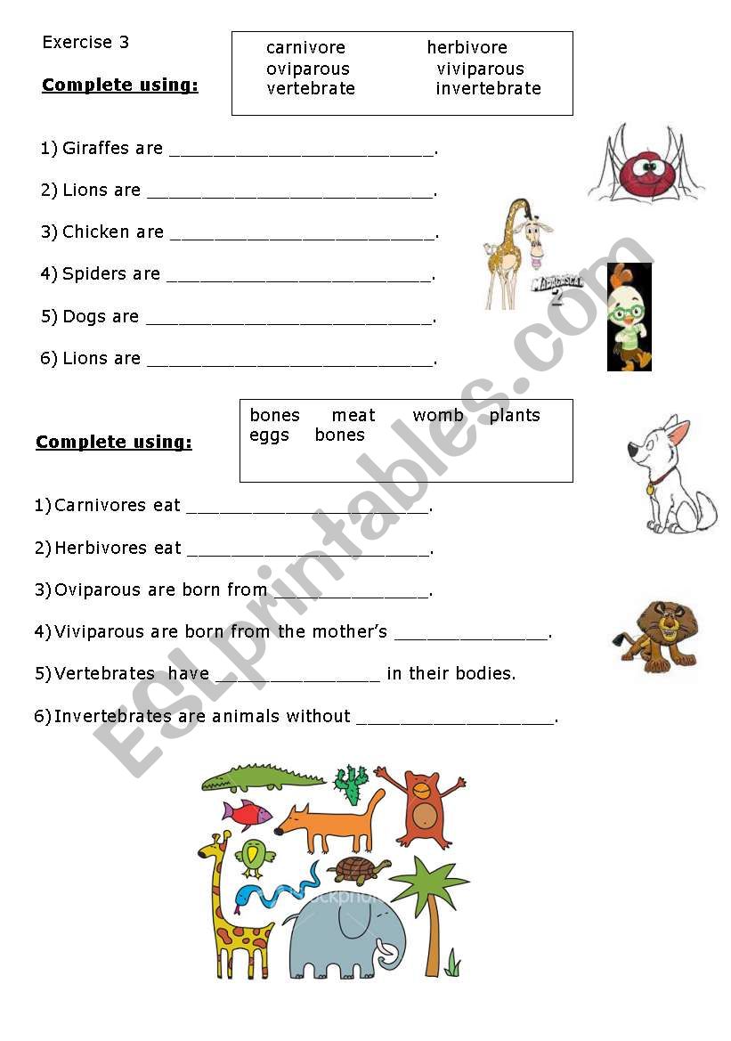 Classify the animals - ESL worksheet by Harmony51